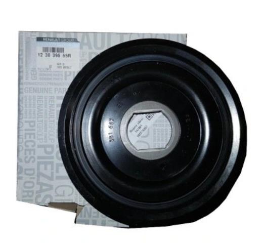 KRANK KASNAĞI 123039555R TRAFİC III 2.0 DCİ M9R | 123039555R