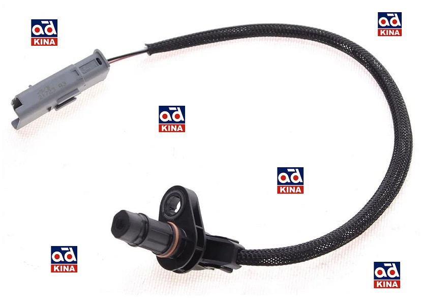 EKSANTRİK MİL SENSÖRÜ 9816032180 C3 C4 P308 P208 P2008 P3008 1.2 1.5BLUEHDİ | 9816032180