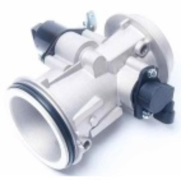 GAZ KELEBEĞİ RNBK005 CLIO KANGO II | 7700273699 8200908869
